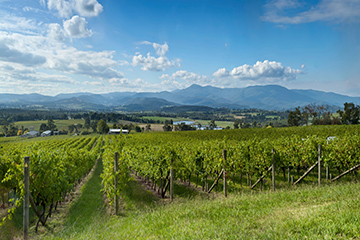 Yarra Valley, Victoria